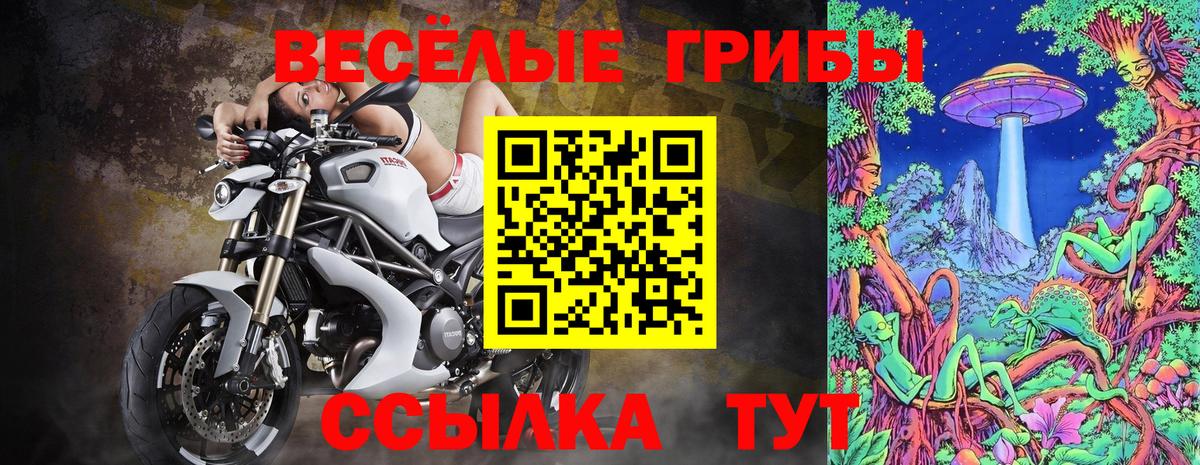 Галлюциногенные грибы GOLDEN TEACHER  Вход с VPN  Ковров 